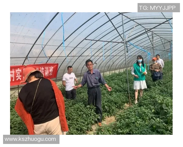 库尔德人对阵天狼星比赛结果揭晓精彩瞬间回顾与分析